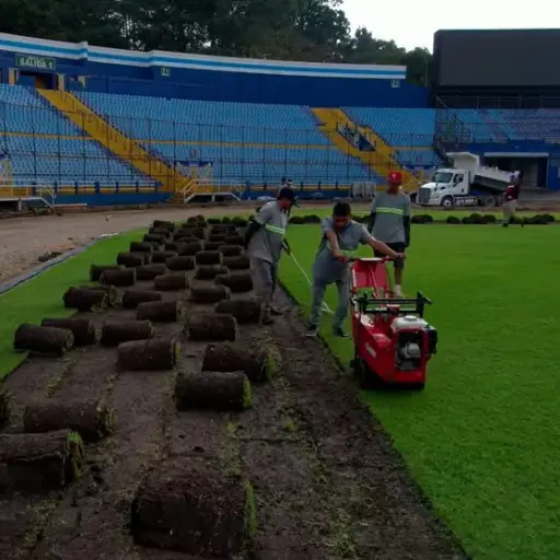 Actualmente se hace el corte del césped del estadio Nacional 