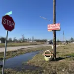 Una carretera vacía en la localidad de Colony Ridge, al noreste de Houston, Texas (EE.UU.). ,EFE