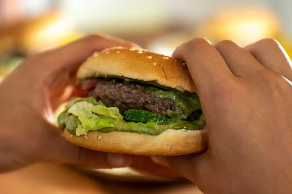 hamburguesa, comida rápida, plato, sandwich, bollo, carne de res, a la parrilla, hamburguesa, hamburguesa, hamburguesa, hamburguesa, hamburguesa, Pixabay