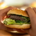 hamburguesa, comida rápida, plato, sandwich, bollo, carne de res, a la parrilla, hamburguesa, hamburguesa, hamburguesa, hamburguesa, hamburguesa ,Pixabay
