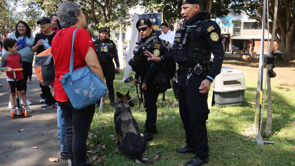 Jóvenes acuden a enlistarse para prestar servicio cívico | Álex Meoño