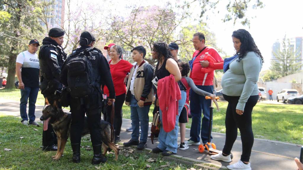 Jóvenes acuden a enlistarse para prestar servicio cívico | Álex Meoño