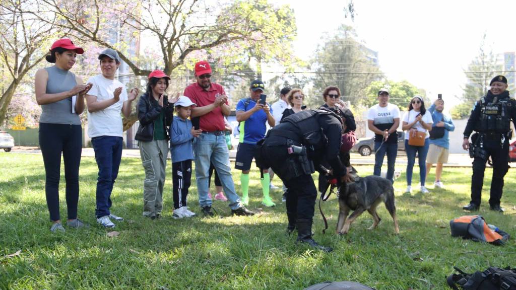 Jóvenes acuden a enlistarse para prestar servicio cívico | Álex Meoño