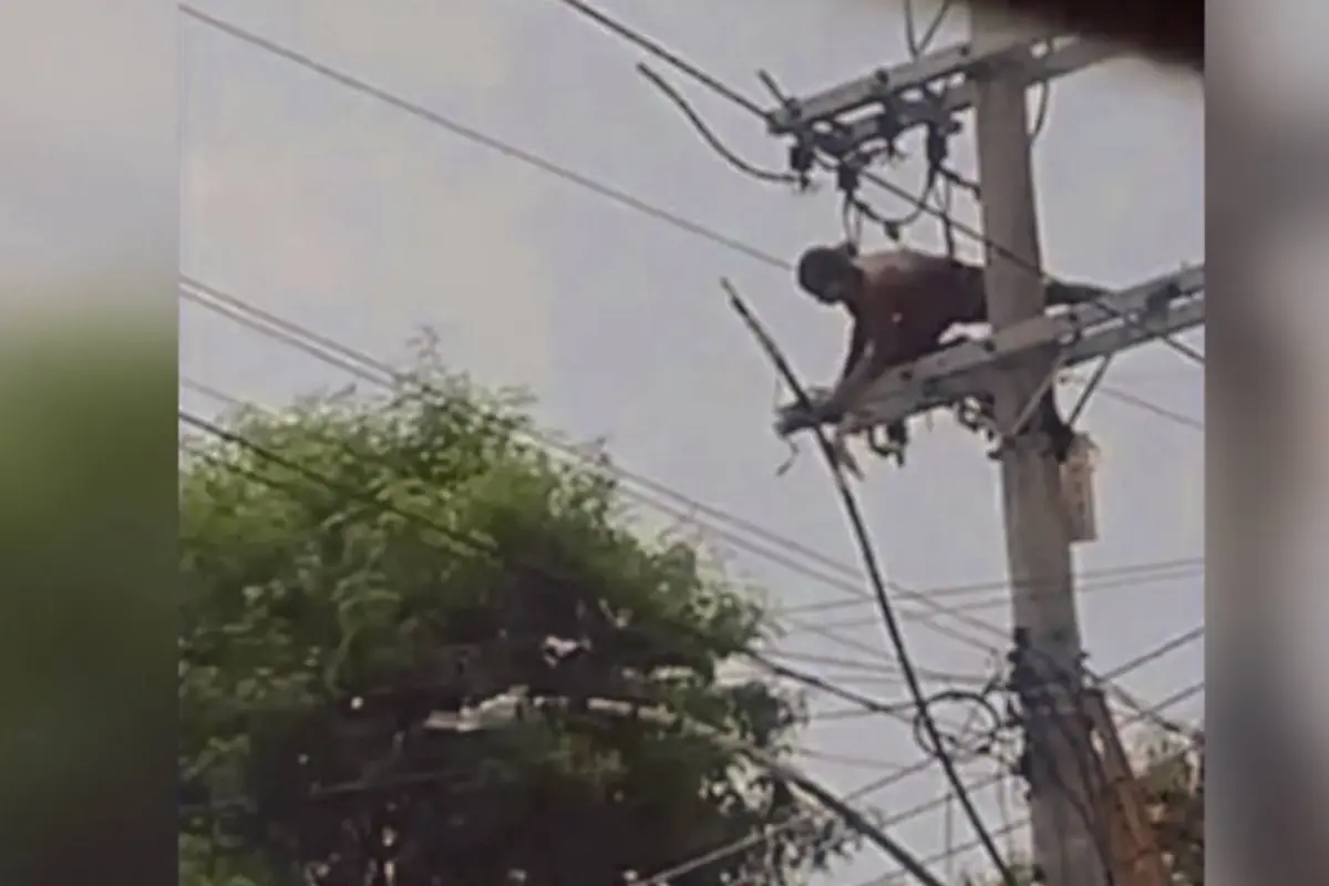 Un ladrón de cable terminó electrocutado., Captura de pantalla video X.