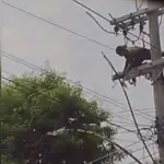 Un ladrón de cable terminó electrocutado. ,Captura de pantalla video X.