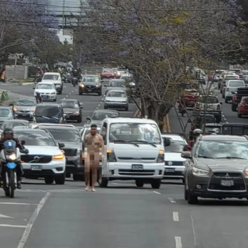 Hombre caminando desnudo en zona 16 ,Captura de video