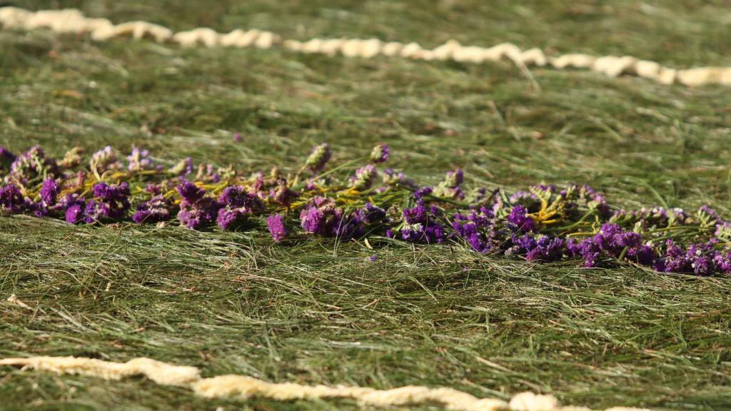 Fieles elaboraron vistosas alfombras para el paso de Jesús de la Buena Muerte | Álex Meoño