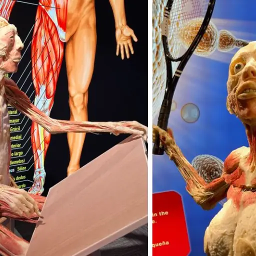 Bodies ,Fotos Sandy Sandoval