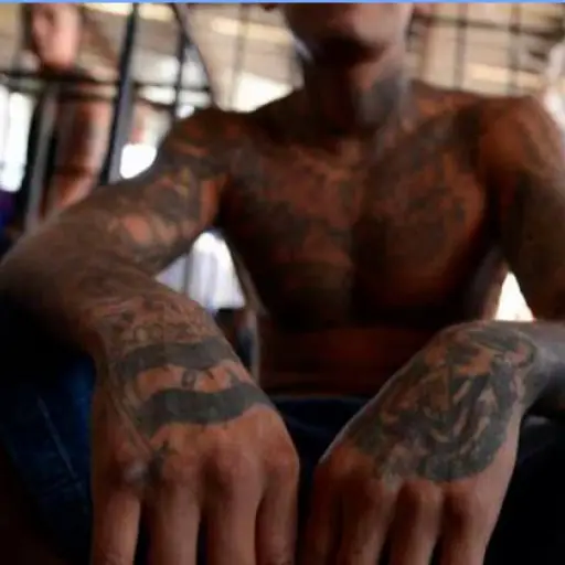 La MS es una organización con casi 40 años de historia que ahora será perseguida en los Estados Unidos como un grupo terrorista. ,Ilustrativa de archivo: EFE