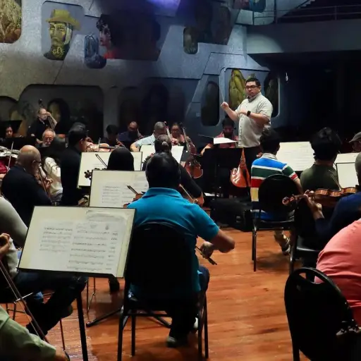 Orquesta Sinfónica Nacional ,Redes sociales OSN