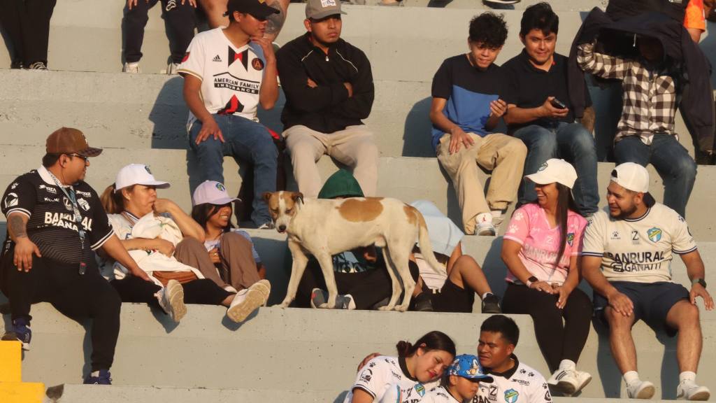 Comunicaciones-Guastatoya, fecha 13, Clausura 2025 | Alex Meoño 