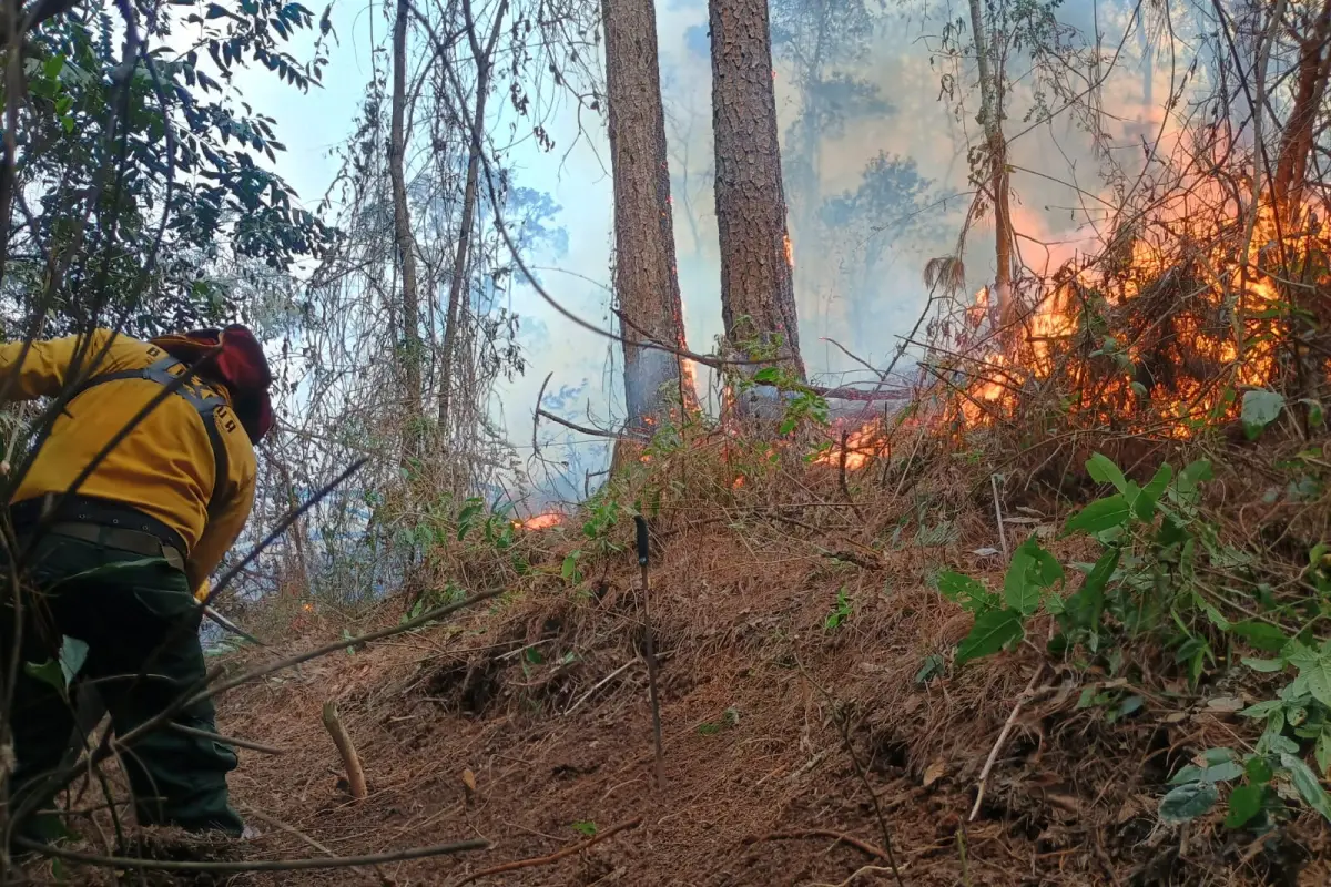 Uno de los incendios activos este domingo es el de Campo Nuevo, Los Ocotes, zona 25., Conred.