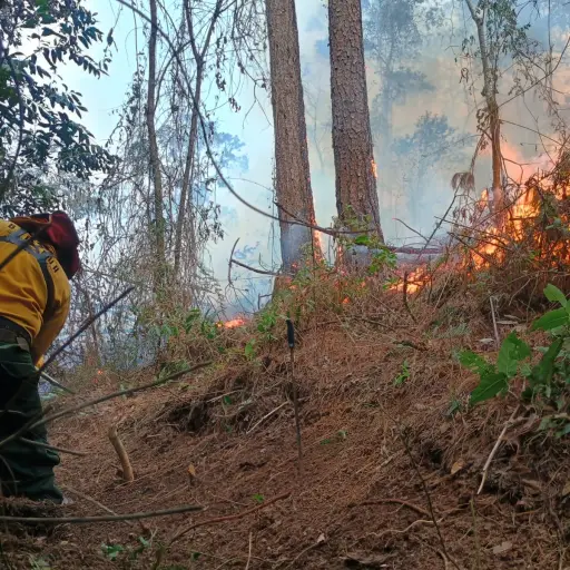 Uno de los incendios activos este domingo es el de Campo Nuevo, Los Ocotes, zona 25. ,Conred.