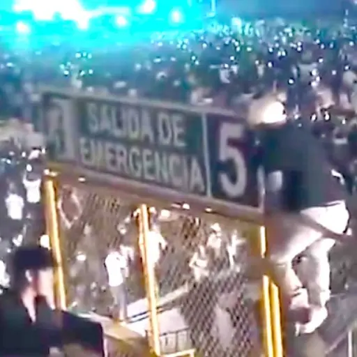 Fanático cae tras saltar malla en video de Fuerza Regida. ,Captura de pantalla video X.