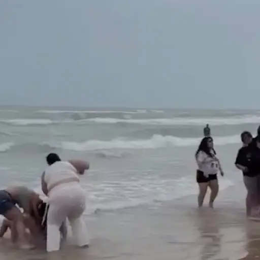 Pelea campal en la playa de la Isla del Padre. ,Captura de pantalla video X.