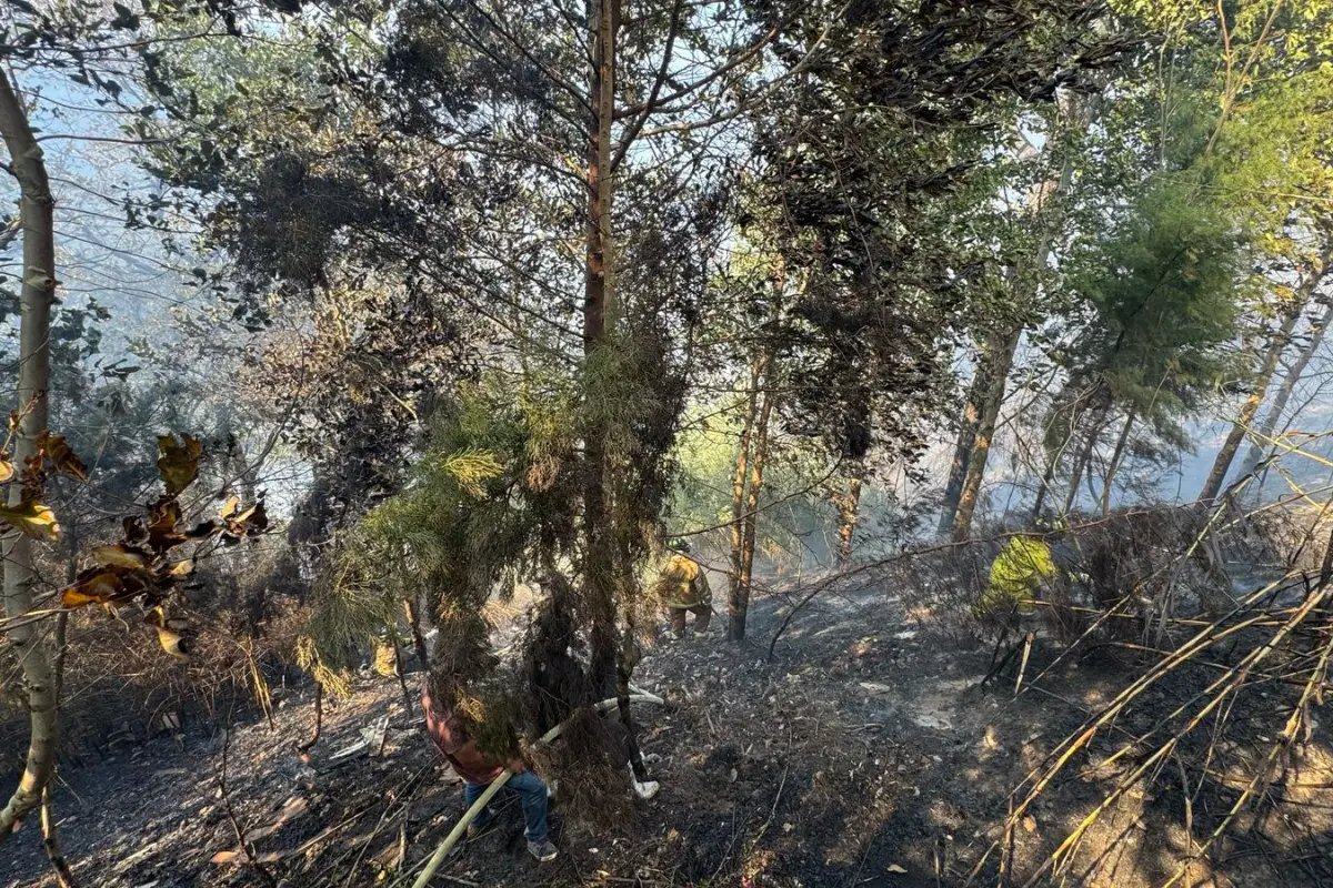 Bomberos Municipales y Voluntarios trabajan en un incendio de La Chacara, zona 11 capitalina., Conred.