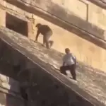 Turista alemán sube ilegalmente a la pirámide de Chichén Itzá.  ,Captura de pantalla video X.