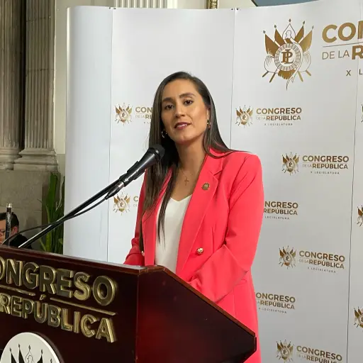 La diputada Karina Paz, de la bancada VOS.