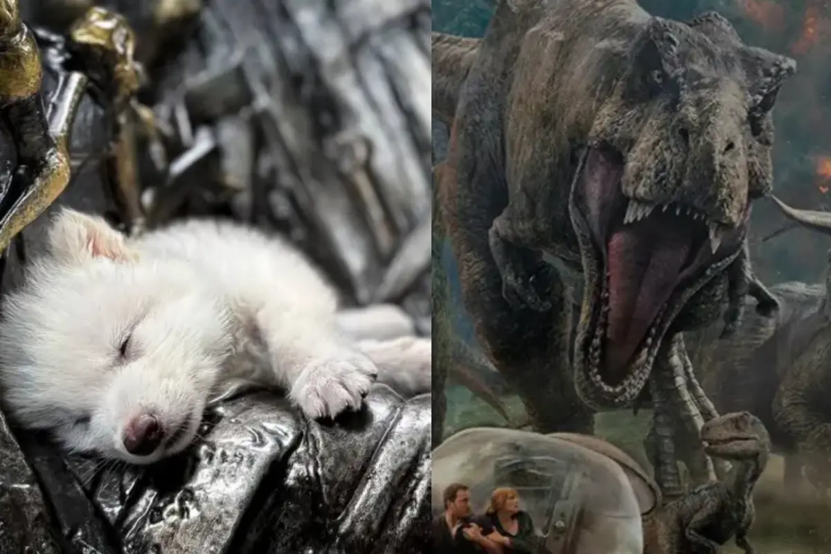 Lobo Huargo, Internet