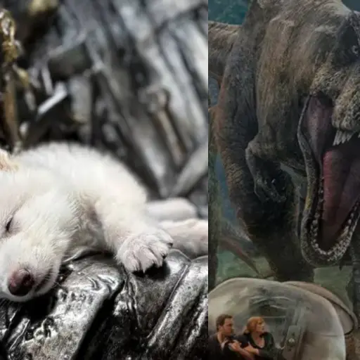 Lobo Huargo ,Internet