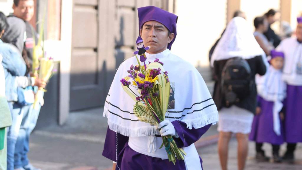 Jesús de las Palmas rememora la entrada en Jerusalén | Álex Meoño.