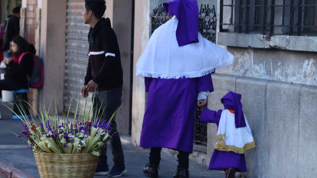 Jesús de las Palmas rememora la entrada en Jerusalén | Álex Meoño.