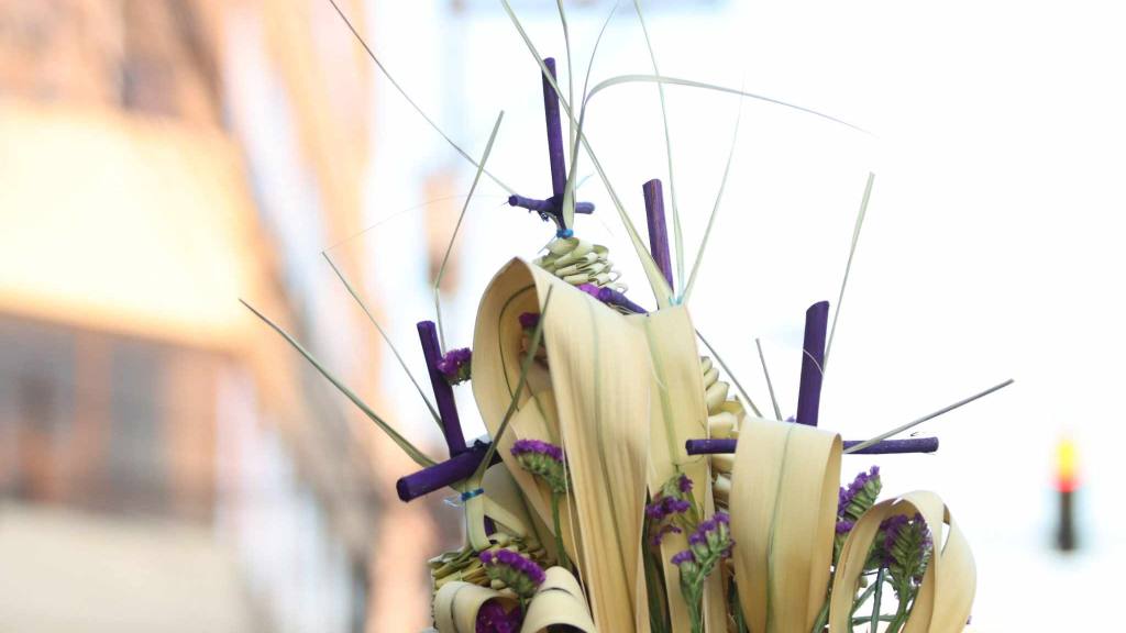 Jesús de las Palmas rememora la entrada en Jerusalén | Álex Meoño.