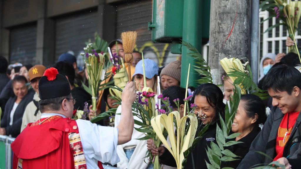 Jesús de las Palmas rememora la entrada en Jerusalén | Álex Meoño.