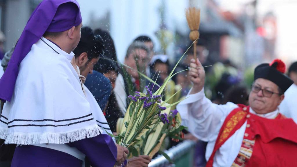 Jesús de las Palmas rememora la entrada en Jerusalén | Álex Meoño.