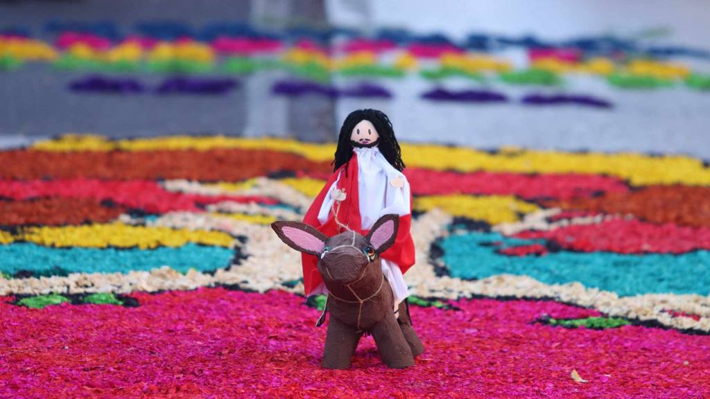 Jesús de las Palmas rememora la entrada en Jerusalén | Álex Meoño