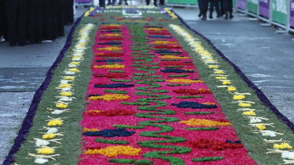 Jesús de las Palmas rememora la entrada en Jerusalén | Álex Meoño