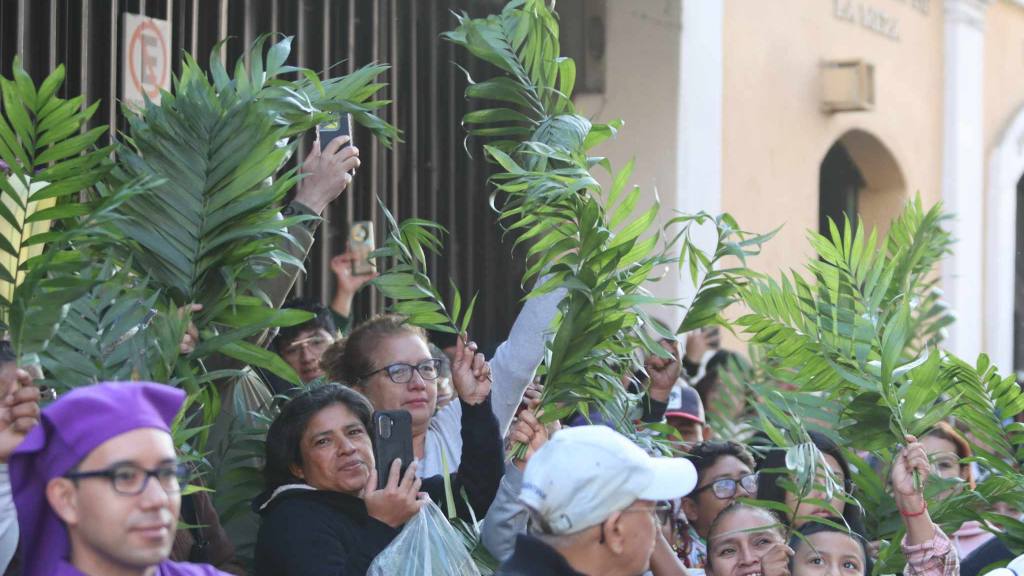Jesús de las Palmas rememora la entrada en Jerusalén | Álex Meoño