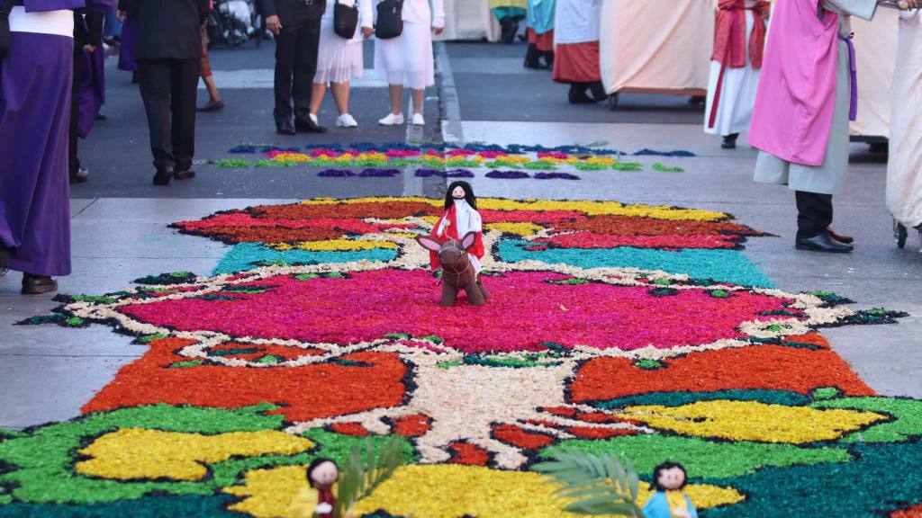 Jesús de las Palmas rememora la entrada en Jerusalén | Álex Meoño