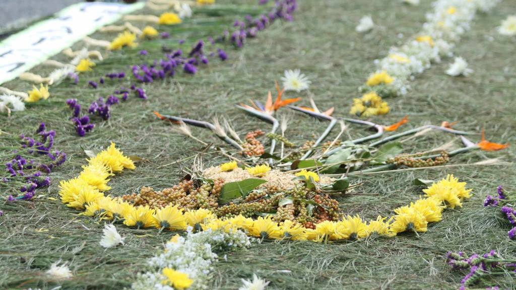 Jesús Nazareno de los Milagros hace nuevas todas las cosas | Álex Meoño