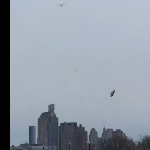 Helicóptero se estrella en el río Hudson, en Nueva York ,Captura de pantalla de la red social X