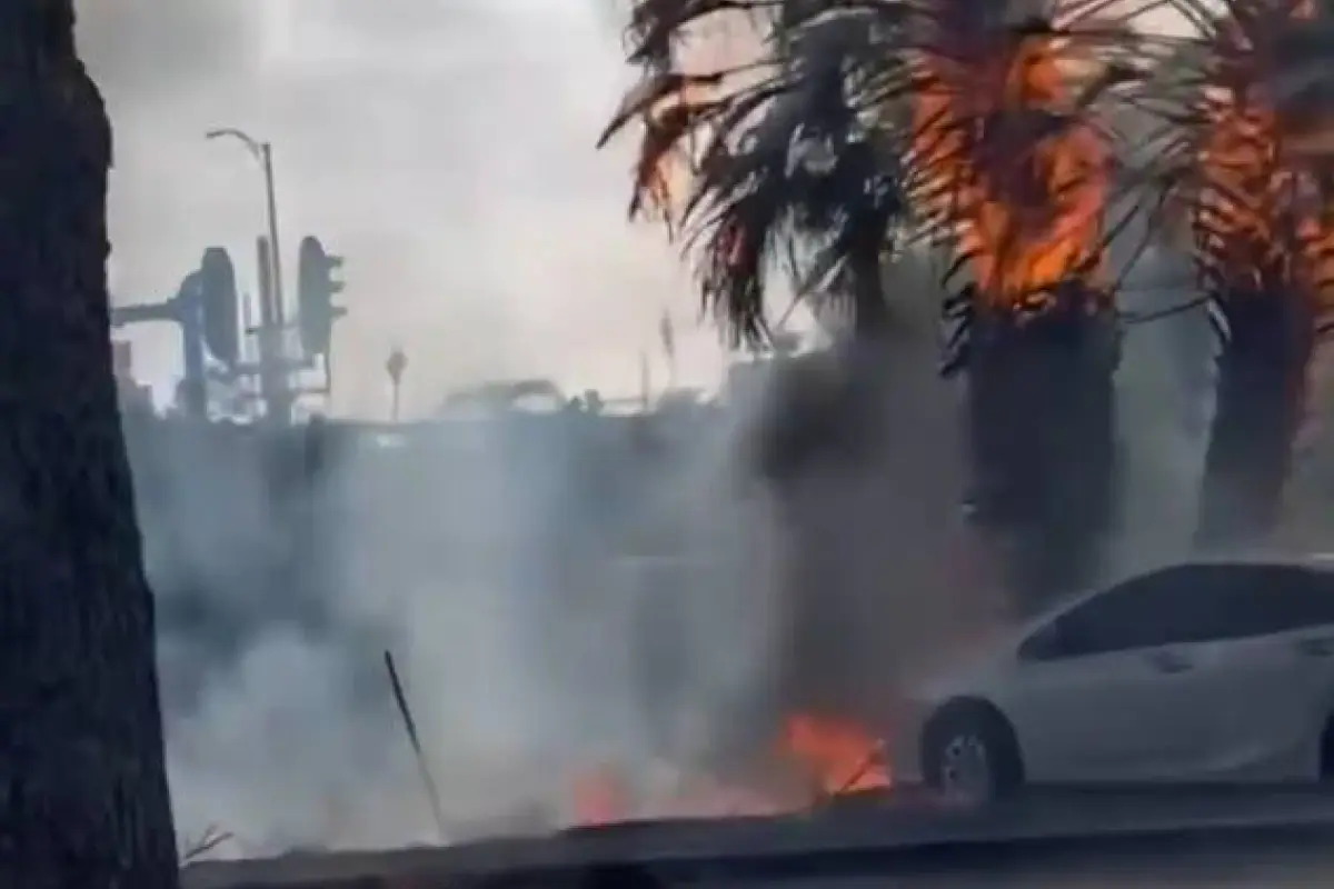 Accidente de avioneta en Boca Ratón, Florida, abril 2025, Captura de pantalla de la red social X