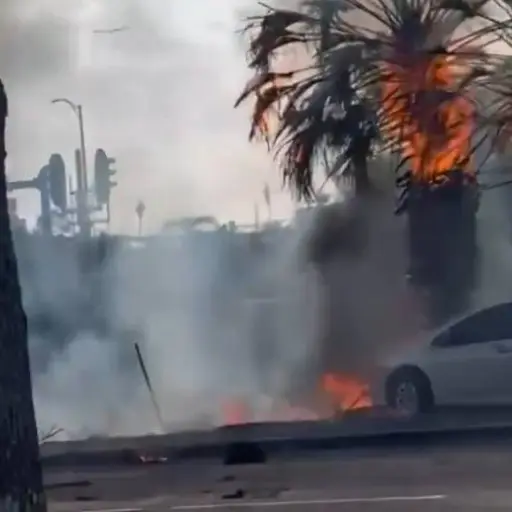 Accidente de avioneta en Boca Ratón, Florida, abril 2025 ,Captura de pantalla de la red social X