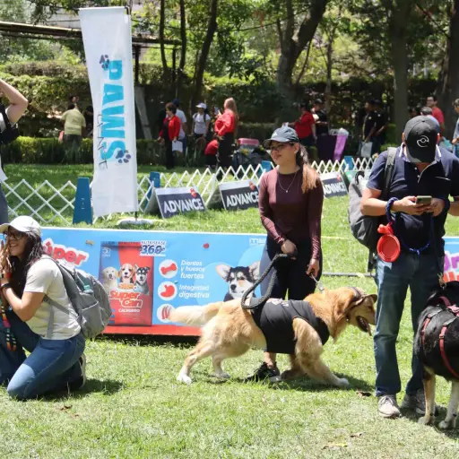 Las mascotas y sus amos encontraron un espacio para compartir tiempo de calidad. ,Álex Meoño.
