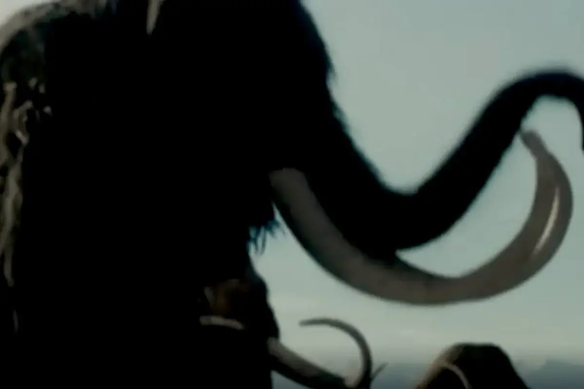 Mamut lanudo, Redes sociales.