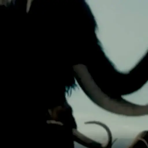 Mamut lanudo ,Redes sociales.