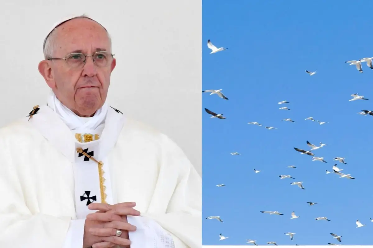 Papa Francisco, Instagram