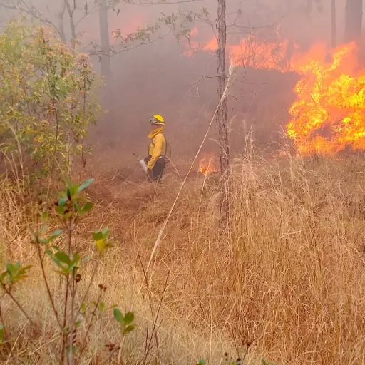 Los bomberos acudieron a la aldea El Zapote, de San Pedro Pinula, para apagar uno de los incendios. ,Conred.