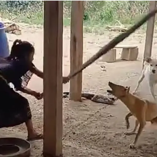 El contenido de dicho video generó indignación en la ciudadanía. ,Captura de pantalla