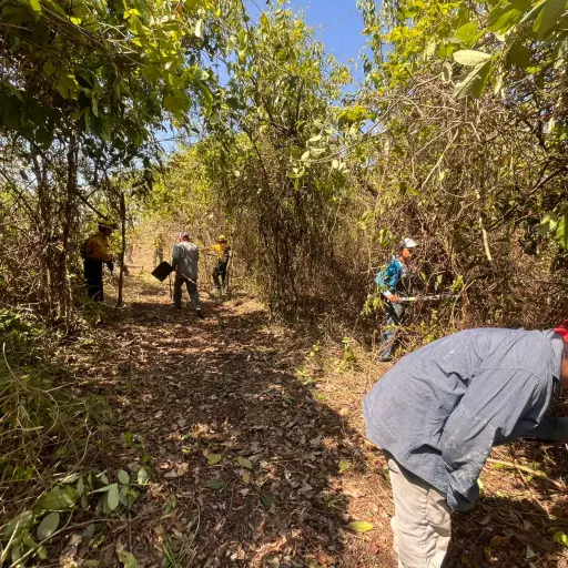 Conred combate tres incendios forestales durante este sábado 17 de mayo de 2025. ,Conred.