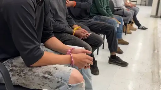 Los inmigrantes indocumentados arrestados durante el operativo provenían de México, Guatemala y Honduras. ,HSI Tampa