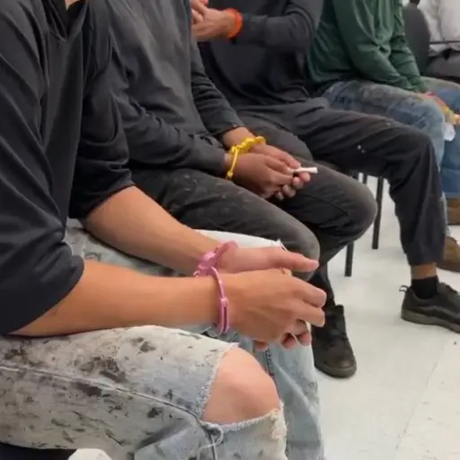 Los inmigrantes indocumentados arrestados durante el operativo provenían de México, Guatemala y Honduras. ,HSI Tampa