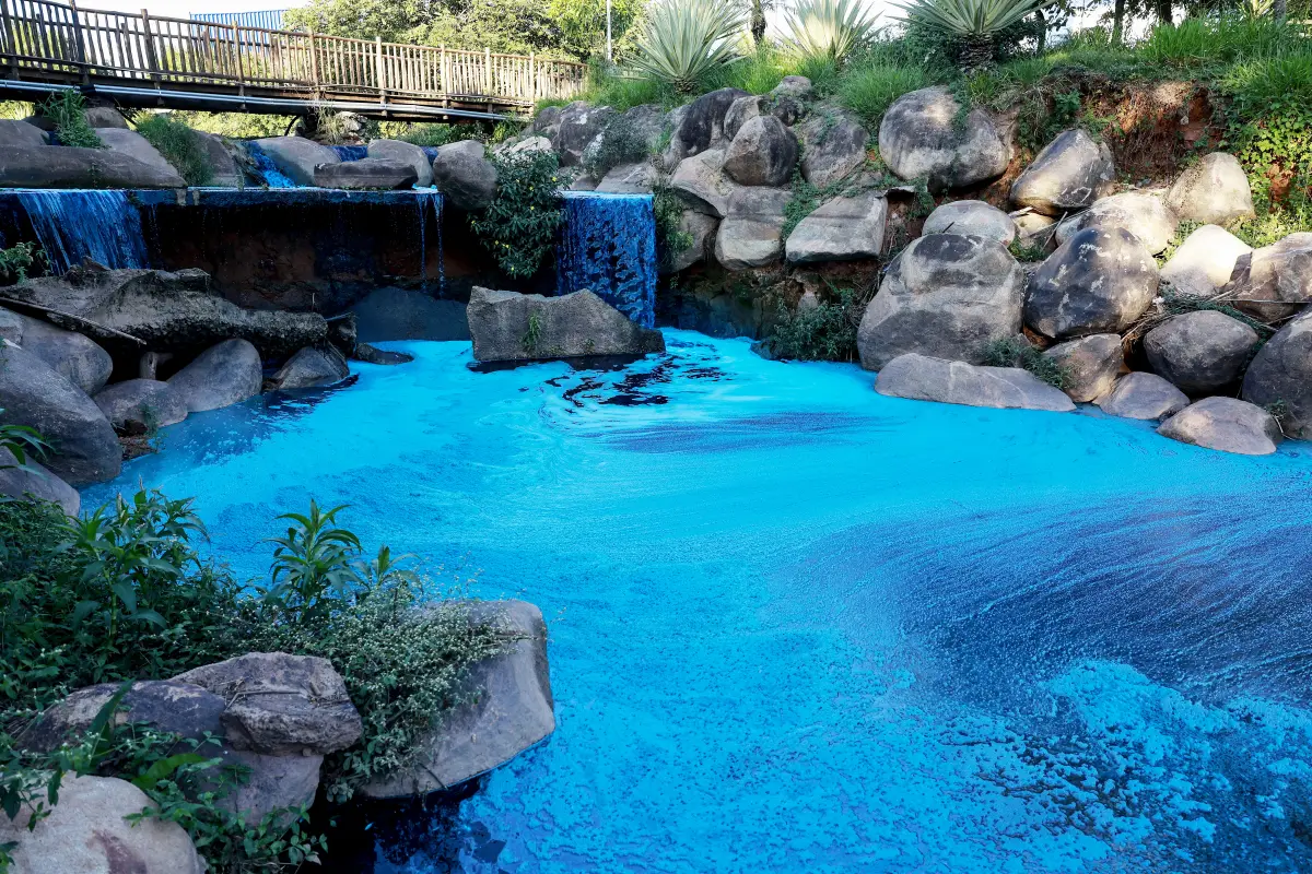 Fotografía del Lago de las Tulipas del Jardín Botánico este miércoles, en el Lago de las Tulipas del Jardín Botánico en Jundiaí (Brasil). , Foto EFE