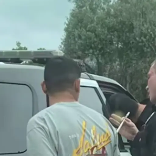 Supuesto migrante guatemalteco detenido  ,Captura de pantalla video X.