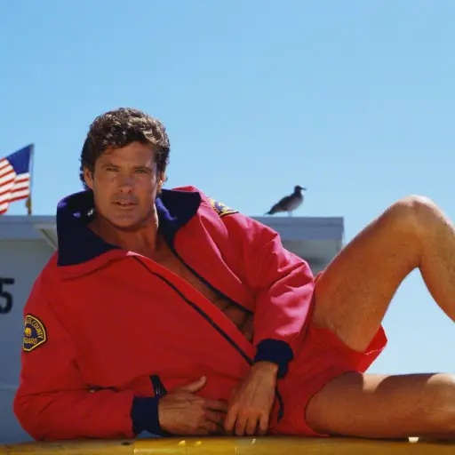 David Hasselhoff ,Instagram