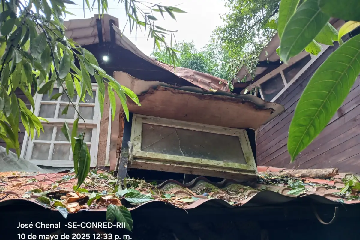 La caída de un árbol causó daños en una vivienda, a causa de las lluvias., Conred.